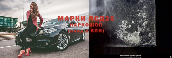 прущие грибы Волоколамск