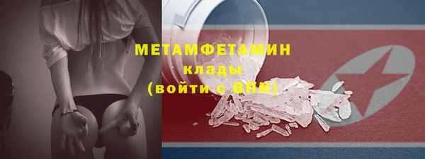 прущие грибы Волоколамск