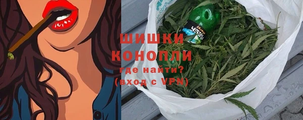прущие грибы Волоколамск