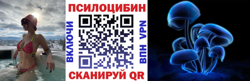 Купить закладки  Серафимович  Псилоцибиновые грибы GOLDEN TEACHER 